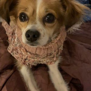 Meet your Posher, Amber